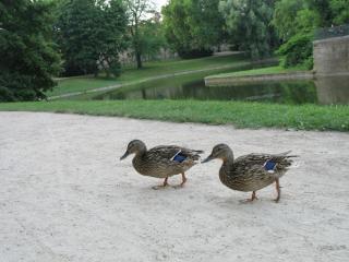 21-28-00-IMG_7364.JPG