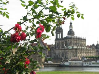 19-55-04-IMG_7196.JPG