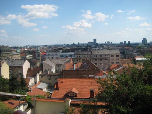 15.JPG