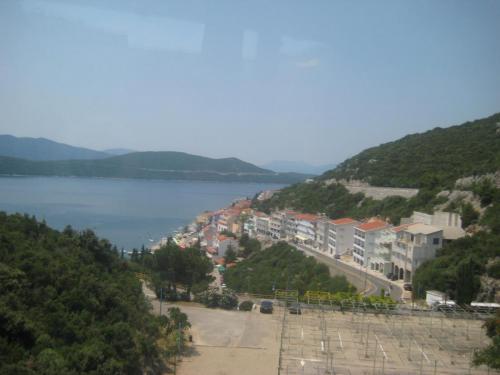 IMG_0241.JPG