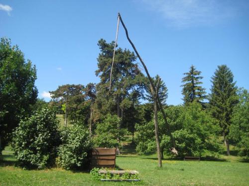 11.JPG