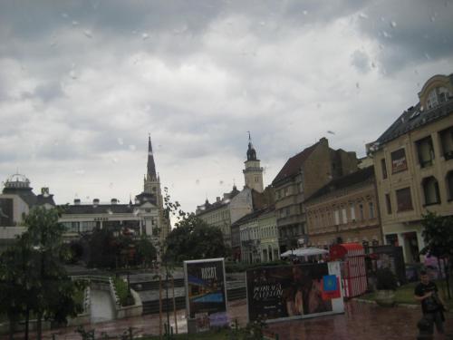 2.JPG