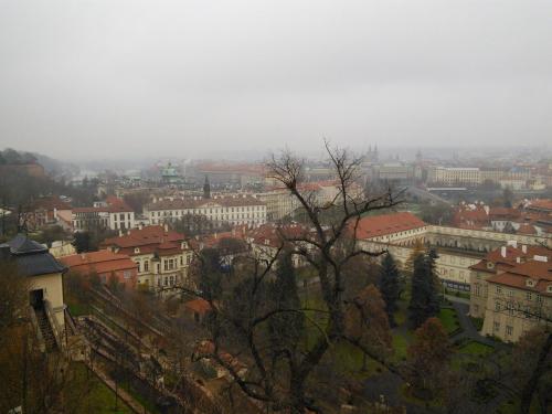 IMG_20141206_095624.jpg