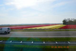 DSC_0403.JPG