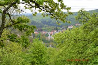 DSC_0443.JPG