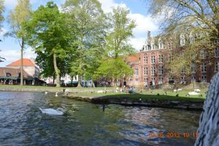 DSC_0083.JPG