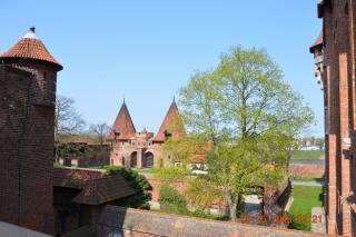 DSC_0190.JPG