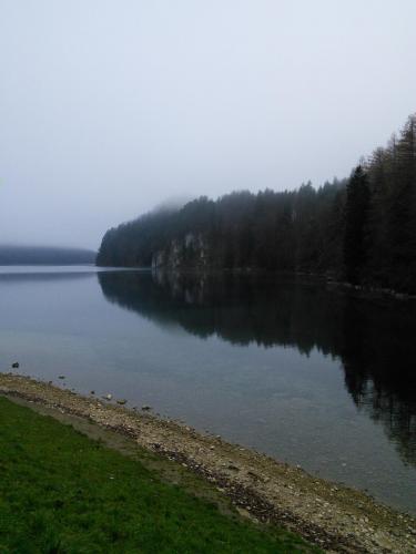 IMG_20141204_133542.jpg