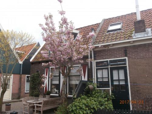 Волендам (17).jpg