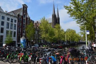 DSC_0433.JPG