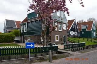 DSC_0610.JPG