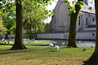 DSC_0158.JPG