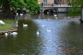 DSC_0162.JPG