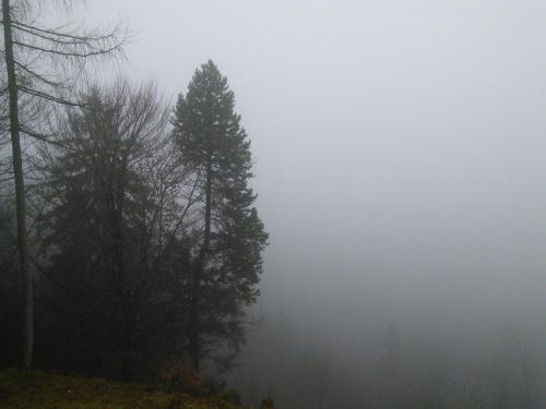 IMG_20141204_143706.jpg