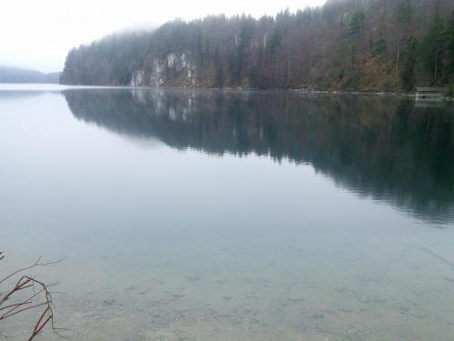 IMG_20141204_133728.jpg