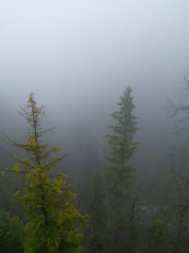 IMG_20141204_145418.jpg