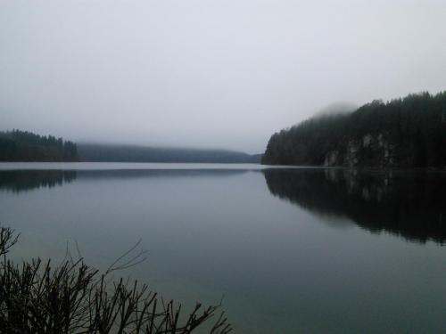 IMG_20141204_133735.jpg