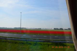 DSC_0401.JPG