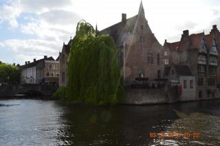 DSC_0141.JPG