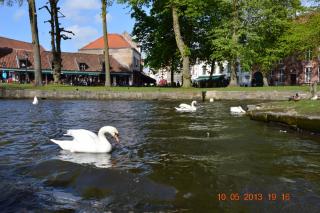 DSC_0088.JPG