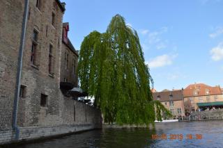 DSC_0130.JPG
