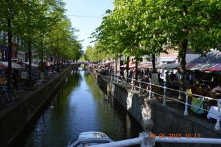 DSC_0903.JPG