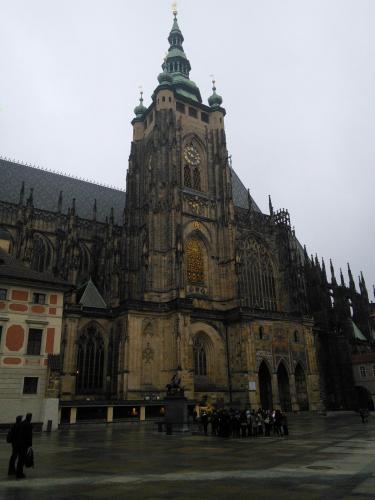 IMG_20141206_094105.jpg