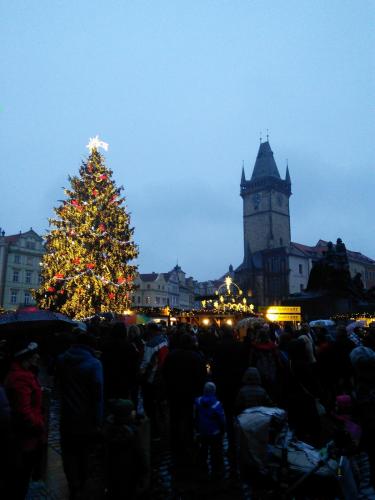 IMG_20141206_160209.jpg