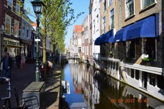 DSC_0913.JPG