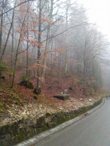 IMG_20141204_162129.jpg