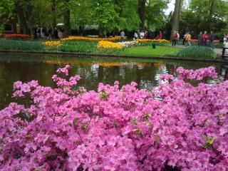 20140429_105852.jpg