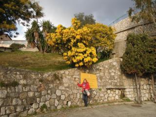 DSCN9917.JPG