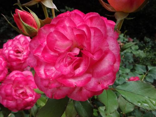 20140731_105542.jpg