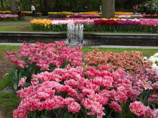 20140429_104319.jpg