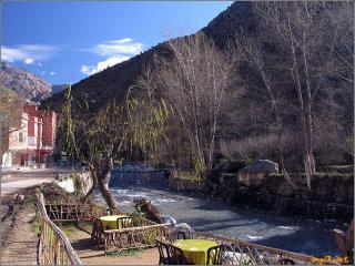 ourica03.jpg