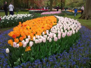 20140429_104940.jpg