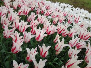 20140429_105202.jpg