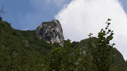 20150619_131254.jpg
