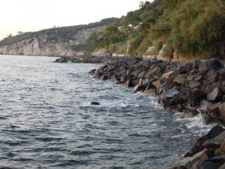 DSCN0995.JPG