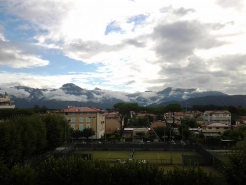 20140730_101732.jpg
