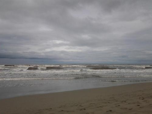 20140730_121929.jpg