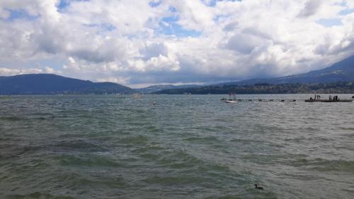 20150619_114522.jpg