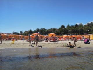 DSCN4371.JPG