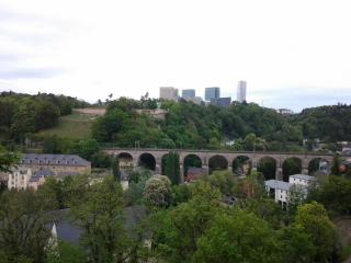 20140506_133312.jpg