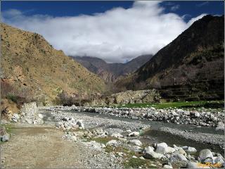 ourica16.jpg