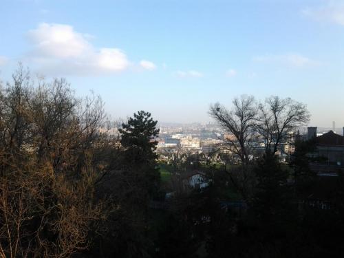 20150324_074855.jpg