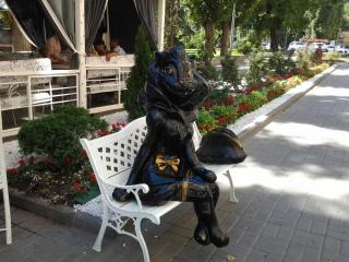 20140720_124606.jpg