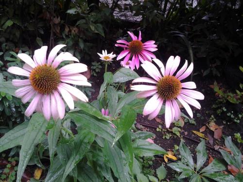 20140724_153955.jpg
