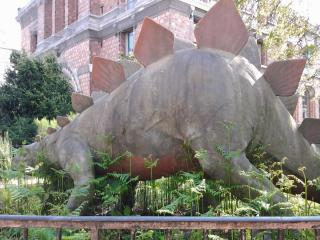 20140503_170057.jpg