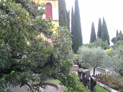 20140724_135348.jpg